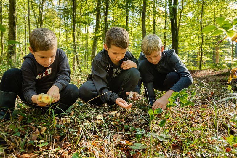 Ateliers enfants en forêt de Cerisy Ateliers enfants en forêt de Cerisy